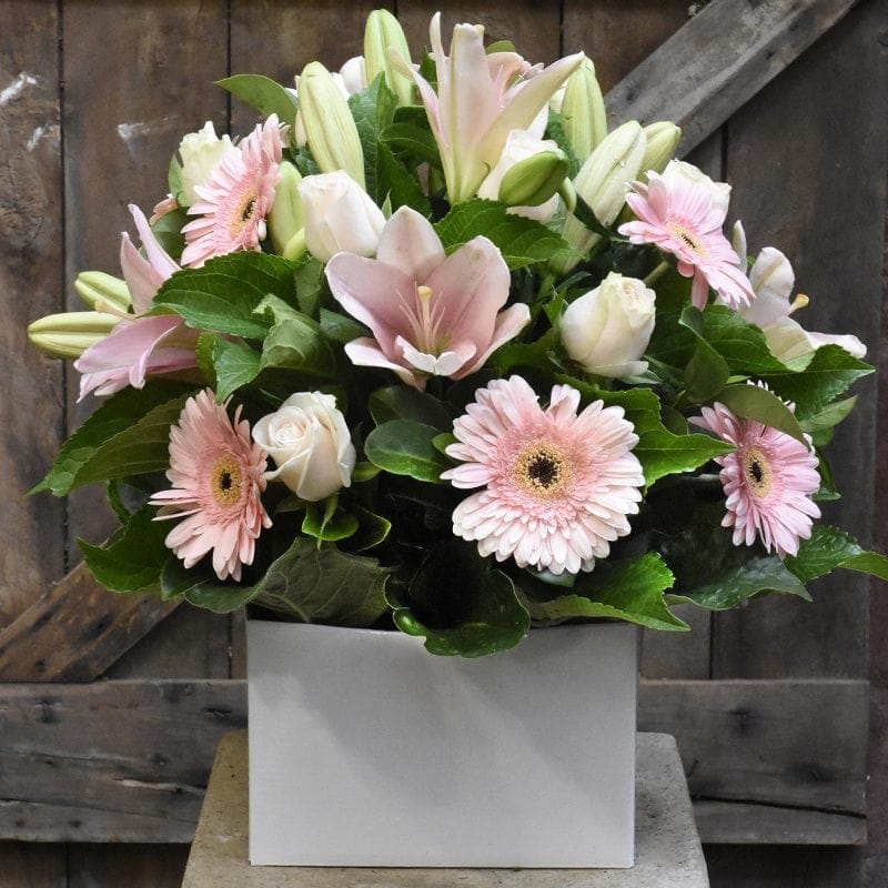 Blush Pink Box