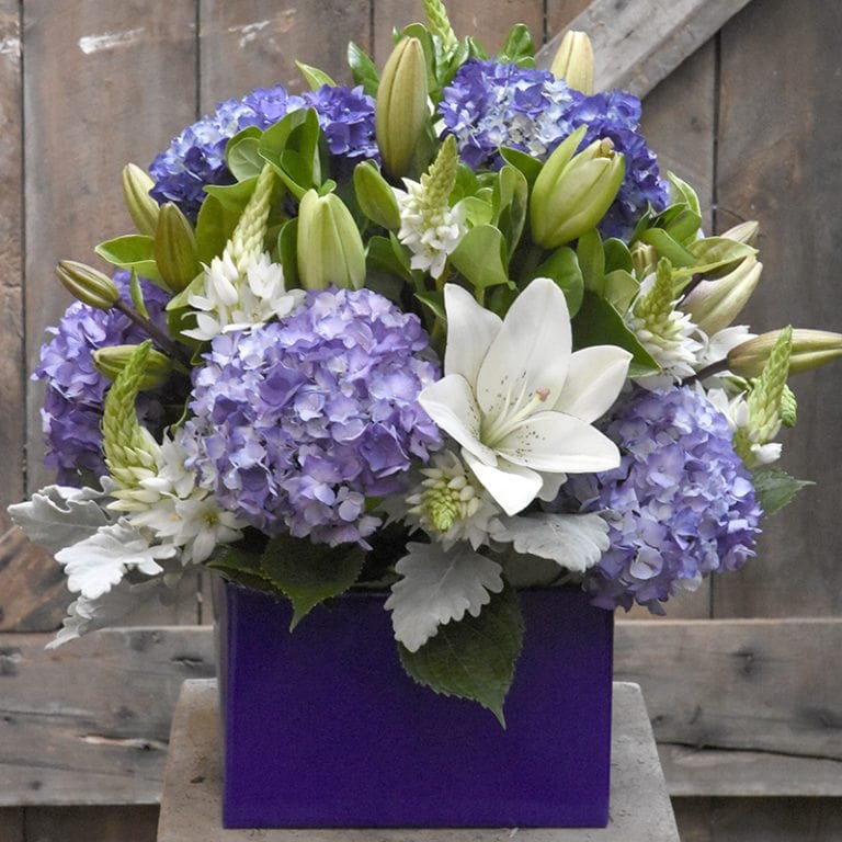 Order Flowers Online Scotts Florist Sutherland Shire Largest