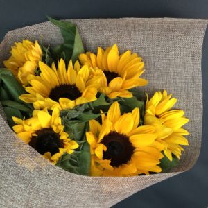 Sunflower Wrap