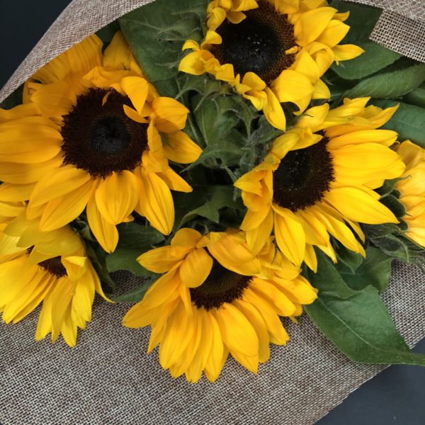 Sunflower Wrap - Image 2